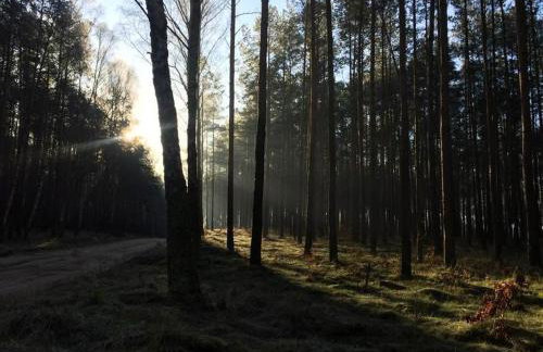 Apartamenty Polna 13 - Foto 54