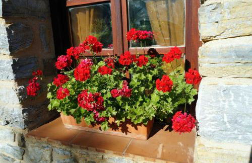 Goikoetxe Baserria - Foto 29