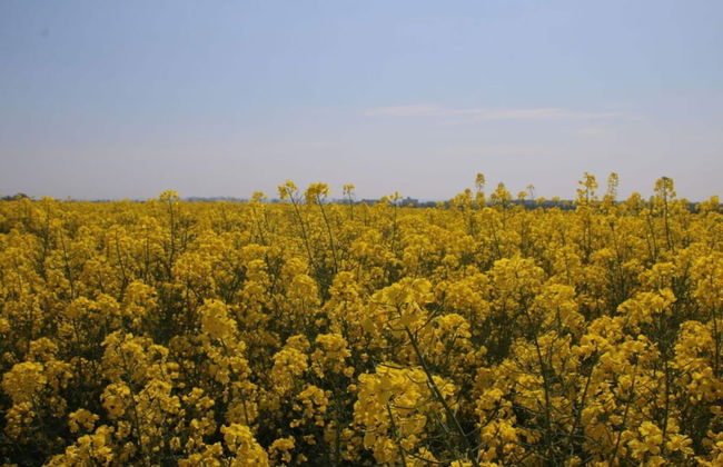 Holiday Home Lilly Comfortable Vacation Home - Foto 18