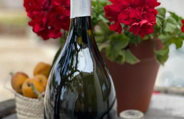 Fattoria Manostalla Villa Chiarelli - Foto 23