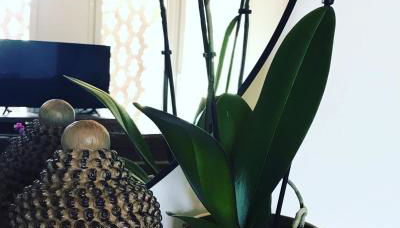 Sotto La Vigna Charm Stay Adults only vacation Appartement Hayloft - Foto 3