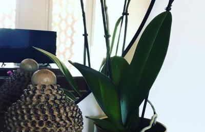 Sotto La Vigna Charm Stay Adults only vacation Appartement Hayloft - Foto 3