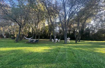 Aux portes de la Camargue studio balneo sauna et piscine - Foto 16