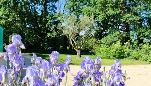 SOUS UN OLIVIER Gîte Le Mûrier, au calme avec climatisation et piscine - Foto 3
