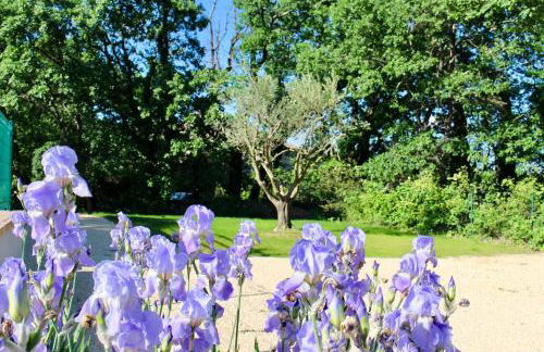SOUS UN OLIVIER Gîte Le Mûrier, au calme avec climatisation et piscine - Foto 3