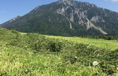 Schifterhof Ruhpolding - Foto 9