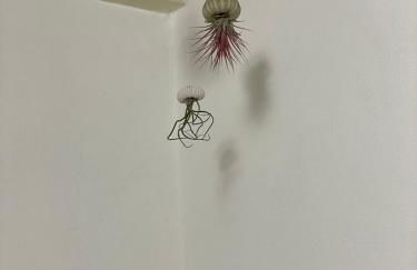 Casa L'Isola di Sara - Foto 29