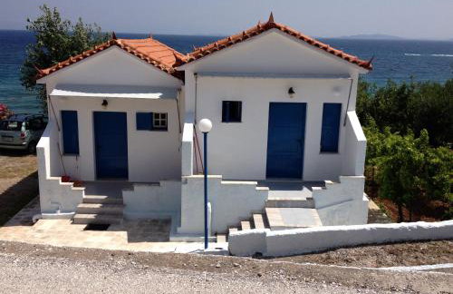 George Paradise - Foto 1