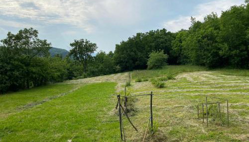 Vila Dolina - Foto 4