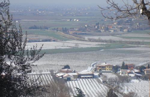 Il Castagneto - Foto 6