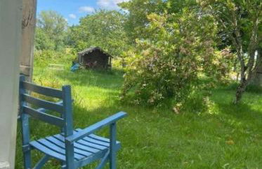 La vie calme - Foto 29