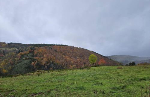 Le Saint-Jean - Foto 20