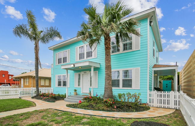 The Turquoise Turtle - Foto 1