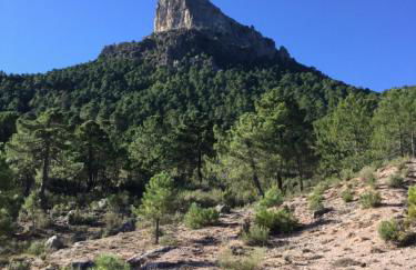 Casa Rural Rio los Molinos - Foto 21