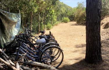 Elba Villa Colle - Nel verde ma vicina al mare - Foto 45