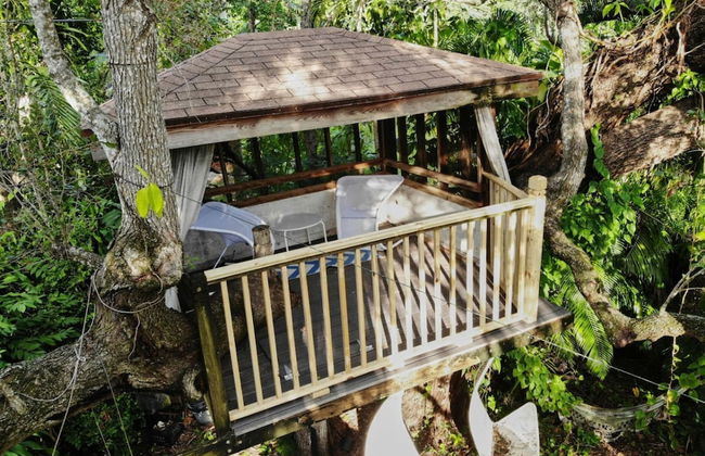 Miami Pool Cottage in El Portal - Foto 58