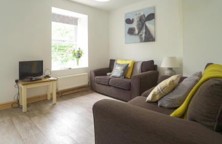 Glanafon Cottage - Photo 3