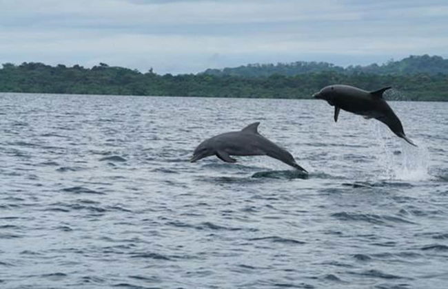Casa Piedra - Foto 21