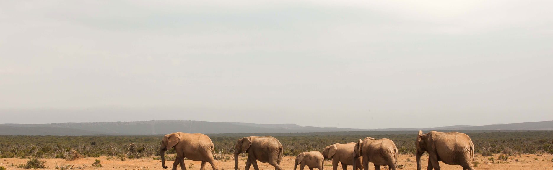Tsavo East Private Safari