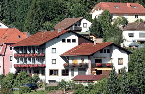 Aparthotel Schwarzwald Panorama - Foto 1