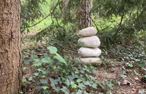 NEU! Kiefernhäuschen - Foto 14