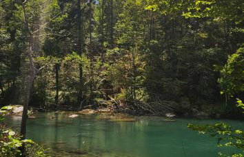 Villa Planica Holiday Home - Foto 39