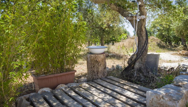 Entrada (vista interior)
