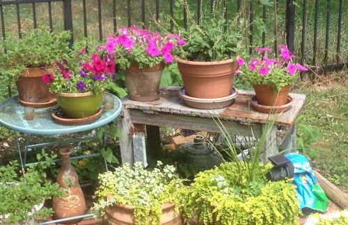 Charming home in Derby city - Foto 19