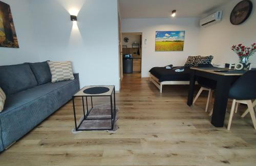 Mieszkanie Janowice - Foto 10