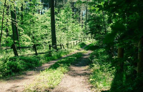 Trójmiasto nad jeziorem DOM -ECHOCHATA - Foto 37