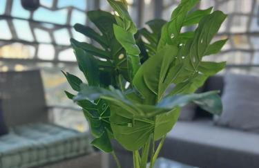 Appartement cosy - Port Marianne - Garage sous sol - Foto 6