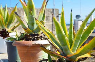 Una Biancasa - Foto 29