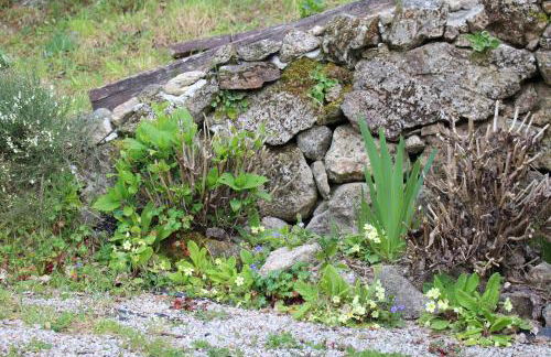 Casa do Castanheiro - Foto 66