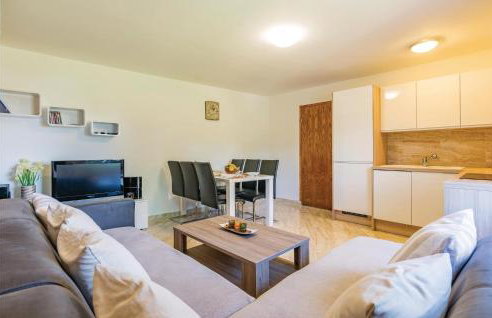 Awesome Apartment In Svpetar U Sumi - Foto 7