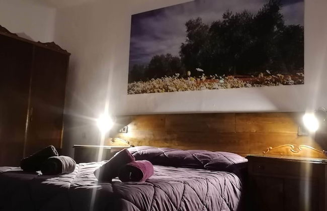 Cortijo Vizconde - Photo 13