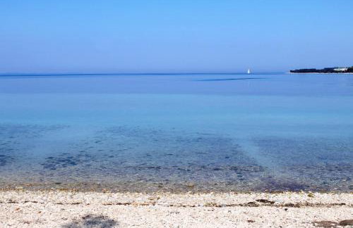 Luxury villa with a swimming pool Petrcane, Zadar - 22839 - Foto 4