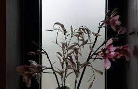 Apartment Solimar - Foto 5