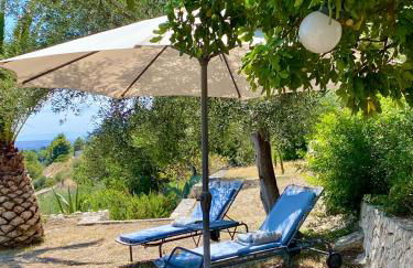 Villa in Gargano - VILLA BASSO - Foto 35