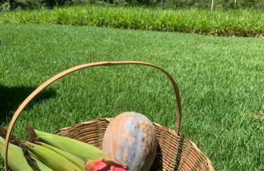 Chale Vale das Cachoeiras - Foto 43