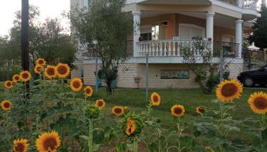 Η Αυλή - Foto 3