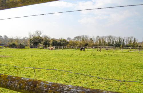 The Cottage At Harple Farm - Foto 29