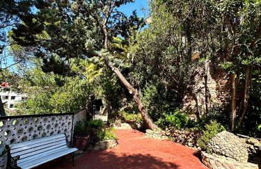 Cau de Serra "Tu refugio en la naturaleza" - Photo 34