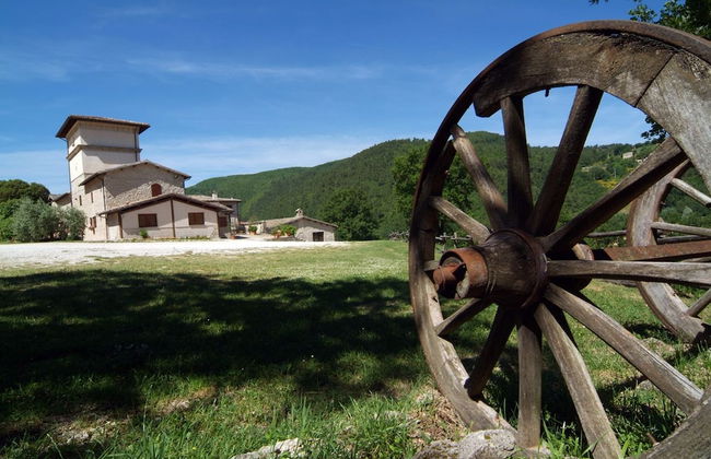 Valle Rosa - Photo 43