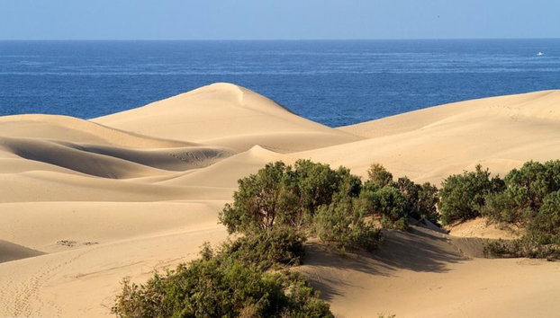 Schätze von Gran Canaria – Ganztagesausflug - Foto 2