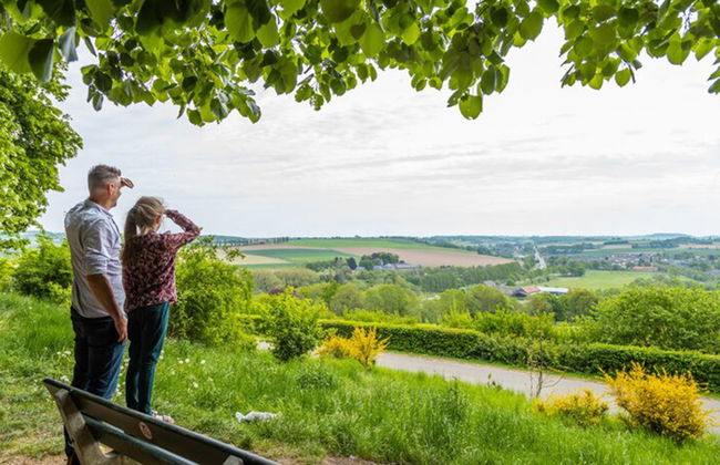 House in Gulpen with swimming pool - Photo 11
