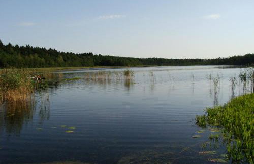 Wiejski Dom - Foto 8