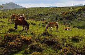 Casa Batit - Foto 22
