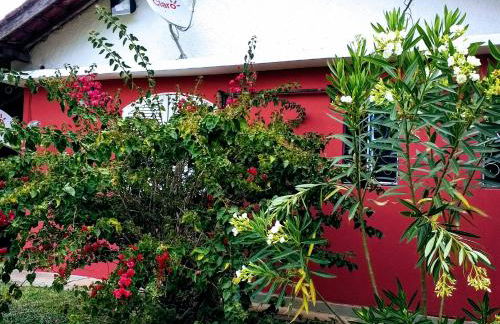 Sítio Recanto do Araçá - Foto 42