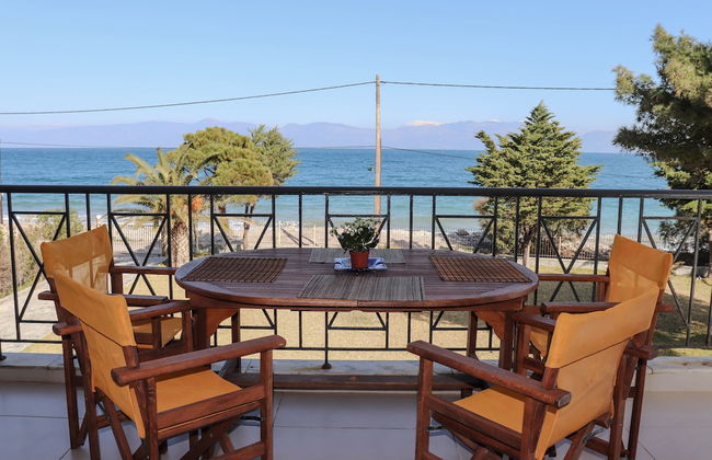 Punda 4 Seasons - Foto 1