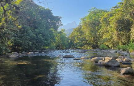 Natureza Loft - Foto 40